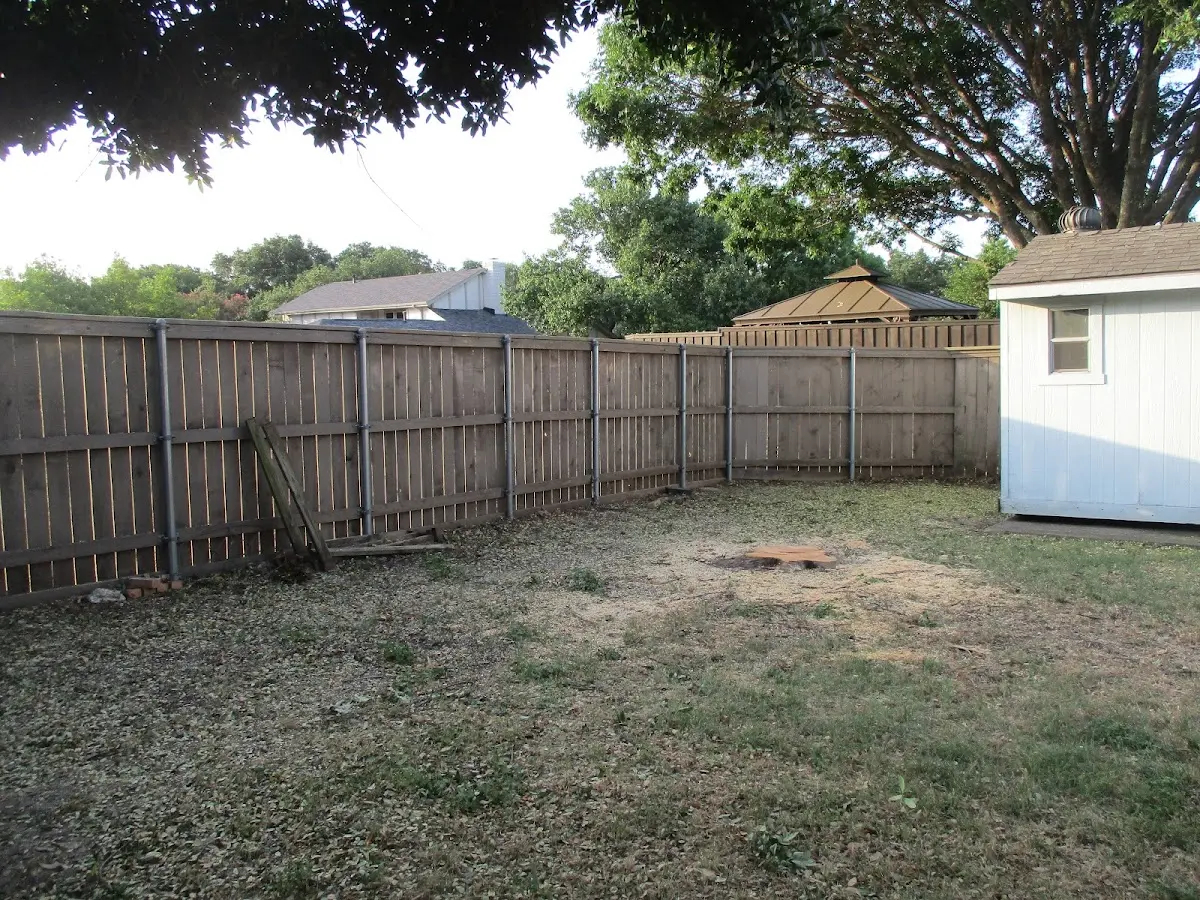 Cleared yard after professional tree removal in Orland Park