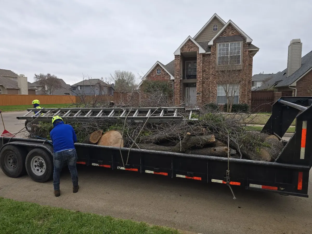 Expert Lot Clearing with proper safety equipment in Orland Park